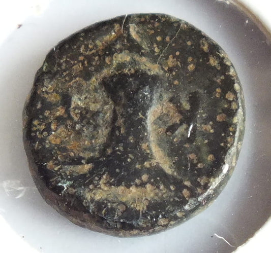 AE-9 Kyme w Eolii 280 P.n.e. Orzeł