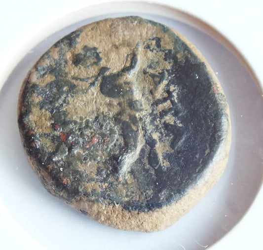 AE-17 Apamea we Frygii 133-48 p.n.e.